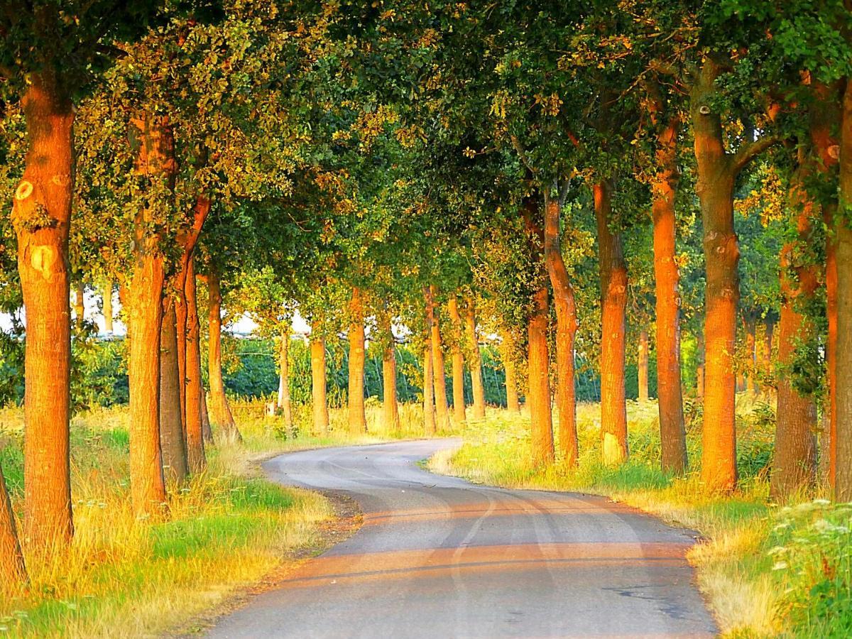 Boerderij Zonneveld Villa Rossum  Exteriör bild