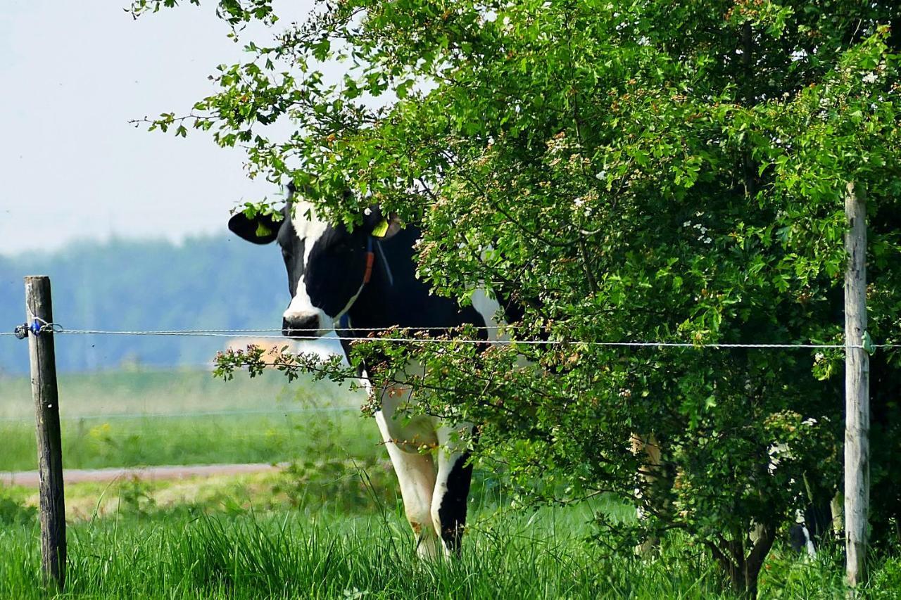 Boerderij Zonneveld Villa Rossum  Exteriör bild